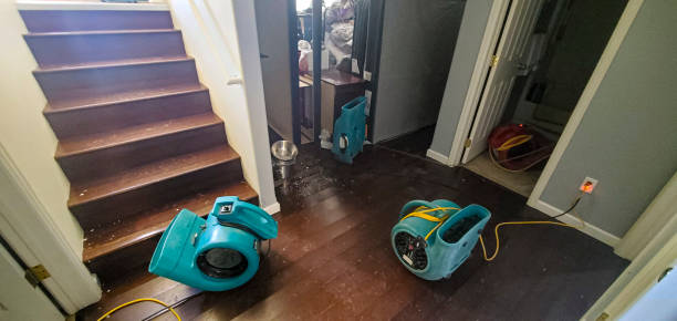Best Water damage restoration near me  in Wappingers Falls, NY