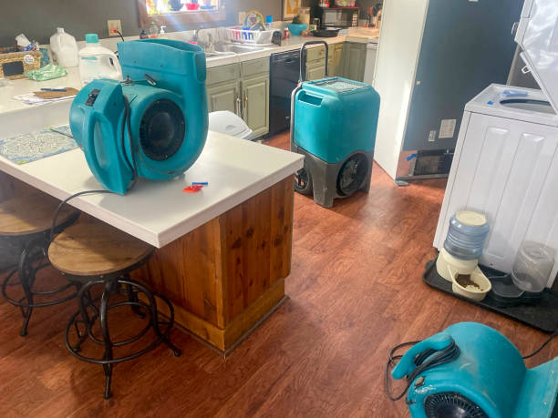 Best Flood damage cleanup  in Wappingers Falls, NY