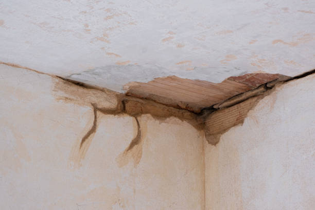 Best Basement water damage restoration  in Wappingers Falls, NY