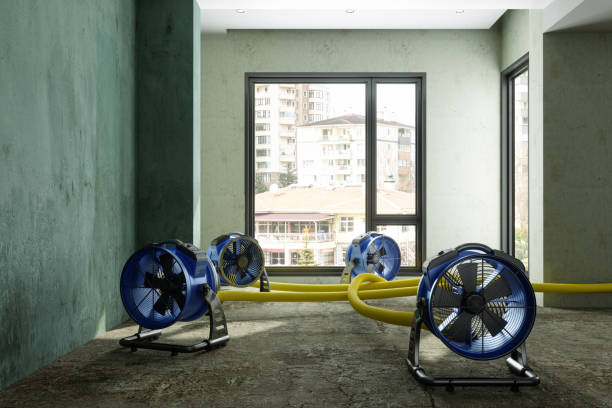 Best Mold removal after water damage  in Wappingers Falls, NY