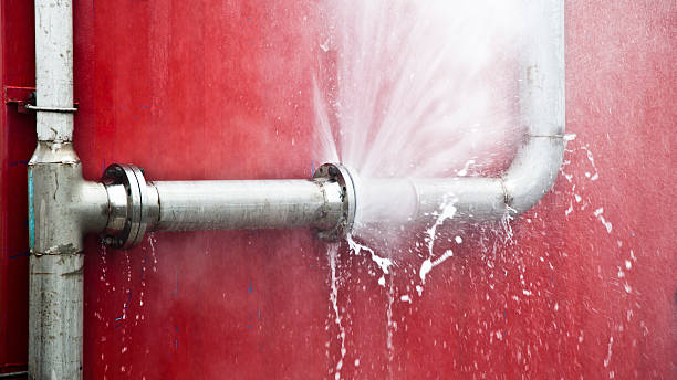 Best Professional water damage repair  in Wappingers Falls, NY